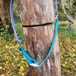 May include: A light purple and turquoise dog collar with silver hardware. The collar is wrapped around a tree trunk.