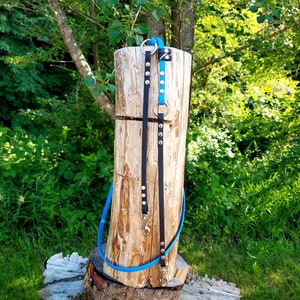 以下が含まれることがあります： 木の切り株に2本の犬のリードが掛けられています。1本のリードは銀色のスタッズが付いた黒色で、もう1本のリードは銀色のスタッズが付いた青色です。