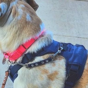 Collar to Collar or Harness Strap, 1/2" Wide Biothane Waterproof Safety Strap, Custom Colors, Metals & Sizes