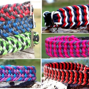 Paracord Dog Collar, Custom Colors and Closure, Trilobite Weave, Available in Slide, Adjustable, Martingale, Half Check, Buckle