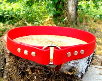 1" Wide Tag Biothane Waterproof House Dog Collar, Add Your Dog's Name, Custom Colors, Metals & Sizes
