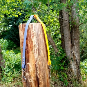 May include: Two dog leashes hanging on a tree trunk. One leash is yellow and the other is purple.