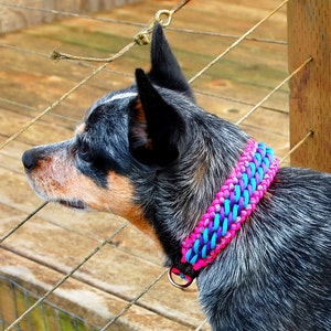 thick paracord dog collar