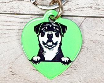 Choose Your Breed Dog Tag, Lightweight Tag, Funny Tag, Cute Dog Tag, Aluminum Dog Tag, Dog Breed Tag, Colorful Tag, Choose Your Font & Color