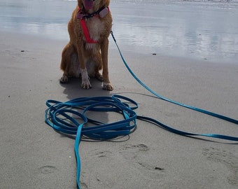 1/2" Drag Line, 1 to 33 feet, Biothane Outdoor Waterproof Dog Long Line (NO HANDLE), Custom Colors and Clips- Brass, Stainless and more!