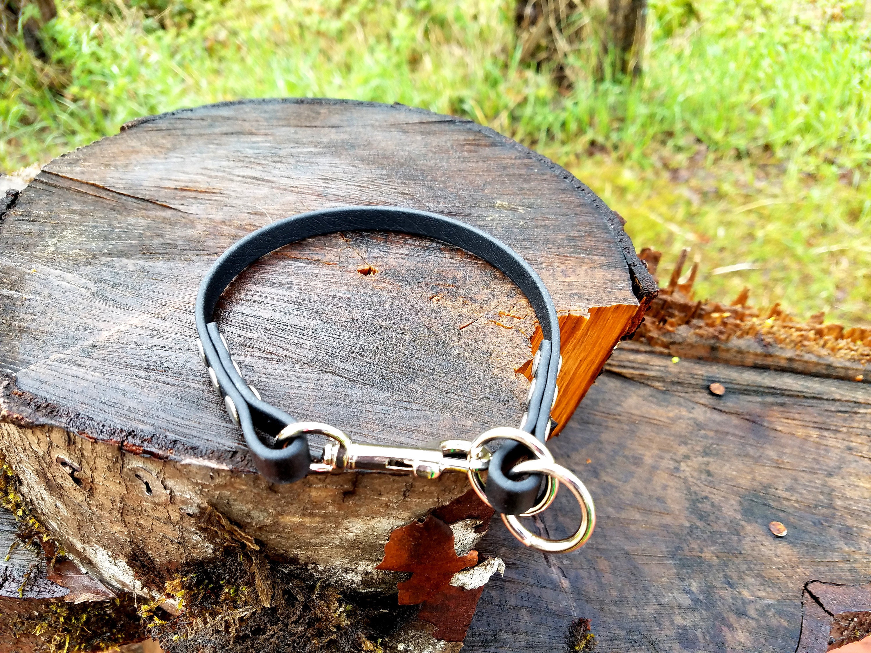 Modified Slip Dog Collar, 3/8" Wide Biothane Waterproof Slip Col…