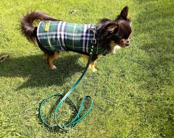 Standard Small Dog Leash, 3/8" Wide Biothane Waterproof Custom Lead, Custom Colors, Metals & Sizes