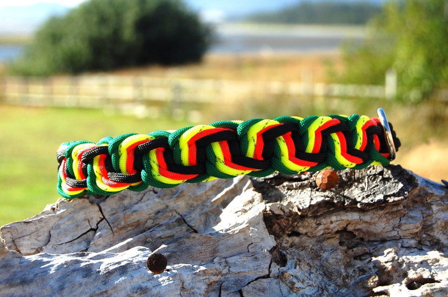 Custom 4 Color Maze Runner Paracord Dog Collar, Choose Your Colors & Closure Type, Strong Sturdy Cute Collar