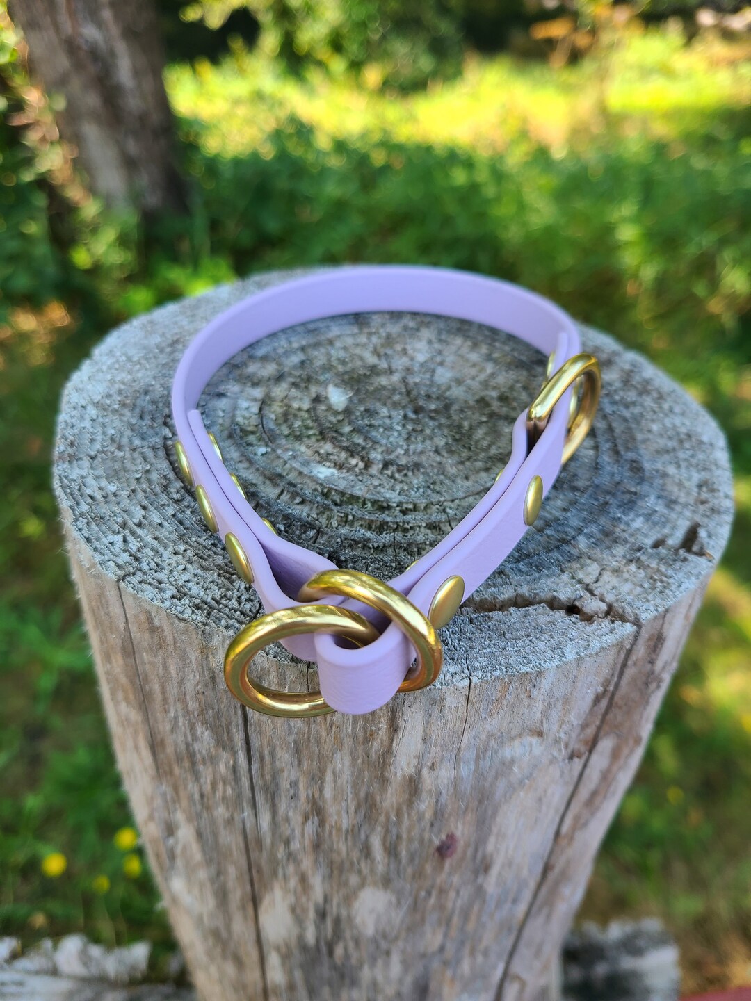 Limited Slip Dog Collar, 5/8 Wide Biothane Waterproof Slip Release