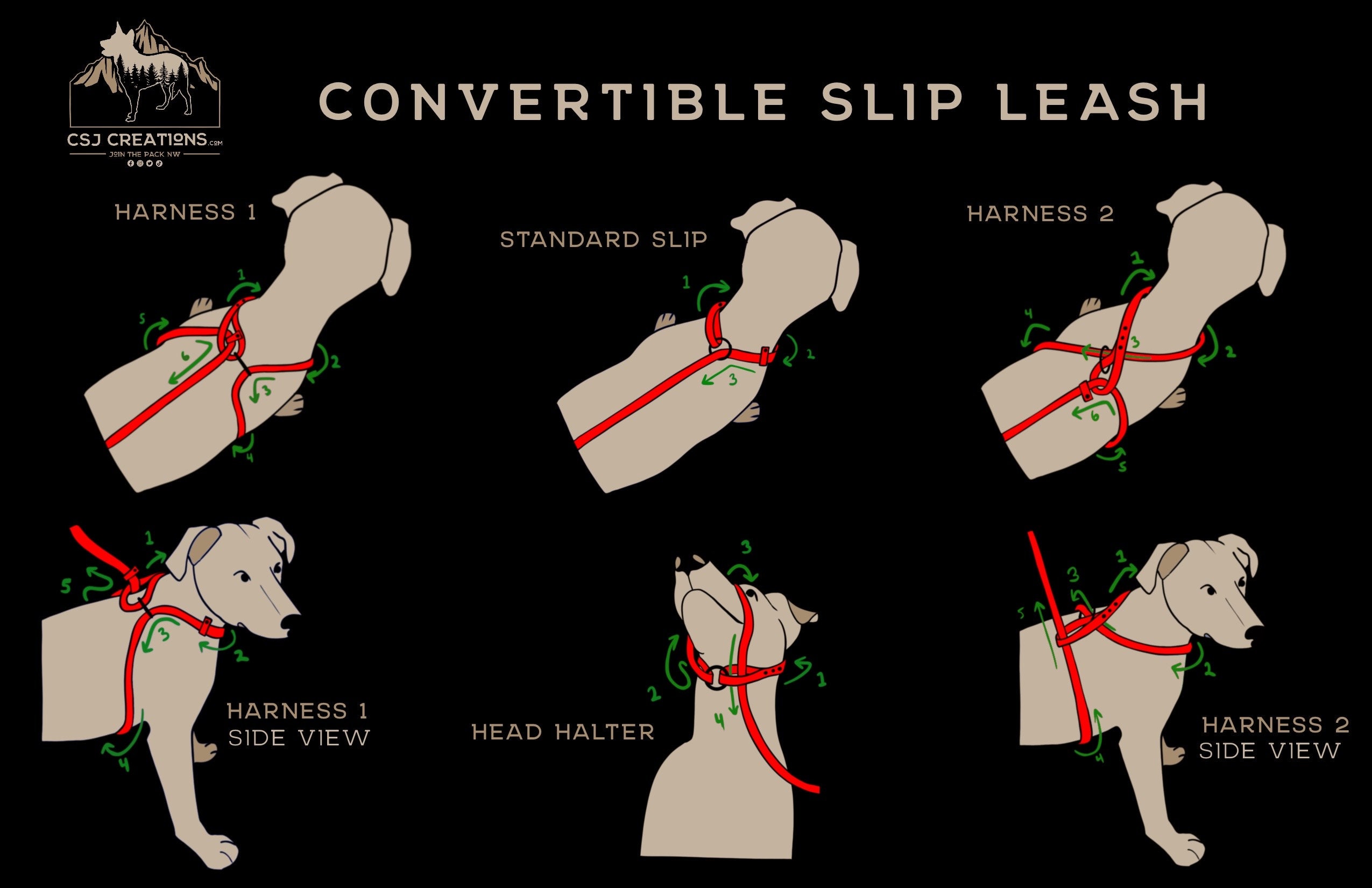 how to put on harness lead leash