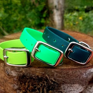May include: Three dog collars in different colors: lime green, neon green, and teal. The collars are made of a rubber-like material and have silver buckles.