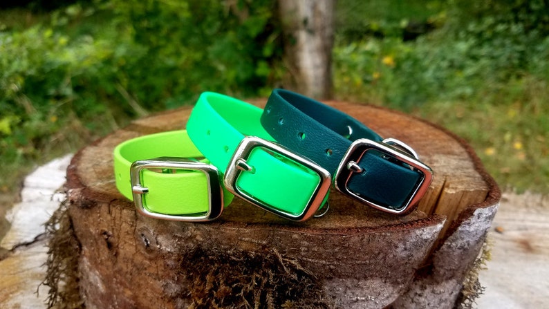 May include: Three dog collars in different colors: lime green, neon green, and teal. The collars are made of a rubber-like material and have silver buckles.