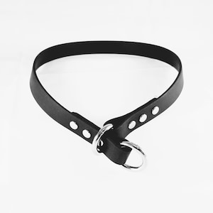 Waterproof Slip Biothane Dog Collar, Add Your Dog's Name, Custom Colors, Sizes and Metals!