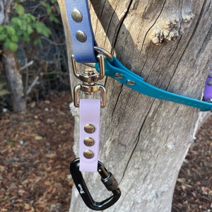 May include: A purple leather dog leash with silver metal accents and a black carabiner clip attached.