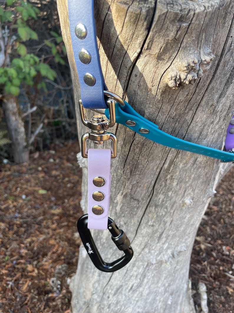 May include: A purple leather dog leash with silver metal accents and a black carabiner clip attached.