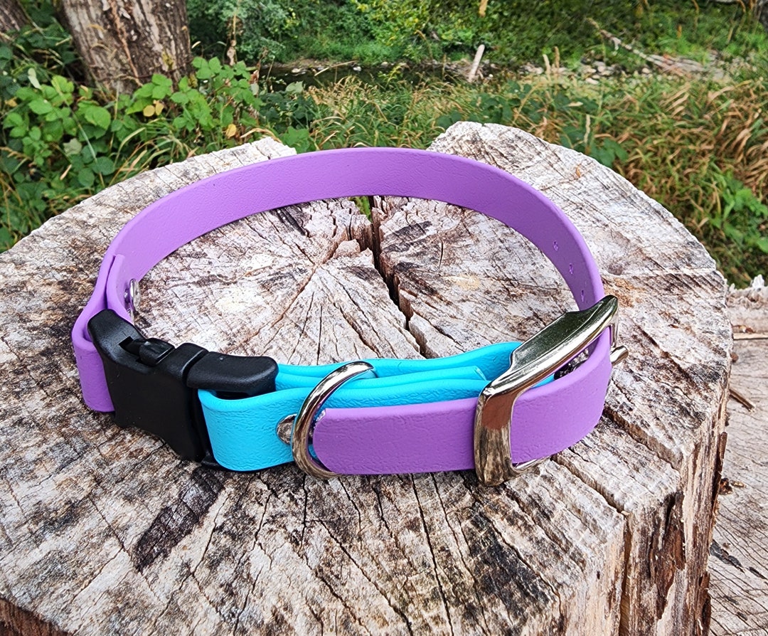 3/4 Adjustable Buckle YKK Quick Release Ecollar Dog Collar, 3/4 Wide