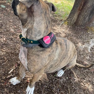 Collar Wrap, Slide On ID, Wrap Around Dog ID, Silent Dog Tag, Leash Handle Wrap, Bandana, Deaf Id, Blind Id, Medical Id, Choose Your Design