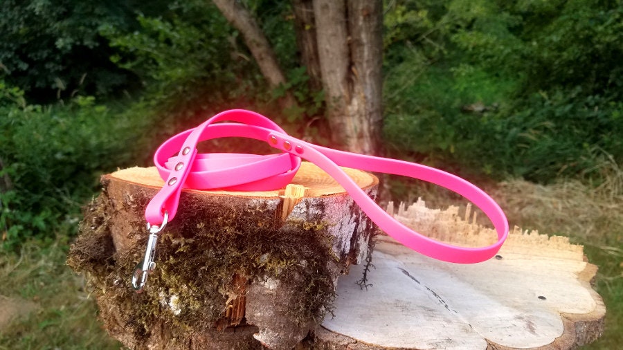 Standard Small Dog Leash, 1/2" Wide Biothane Waterproof Custom L…