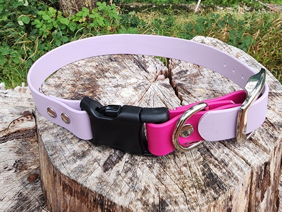 1" Wide Adjustable Buckle YKK Side Release Biothane Waterproof E-Collar Buckle Dog Collar, Add Your Dog's Name, Custom Color & Sizes