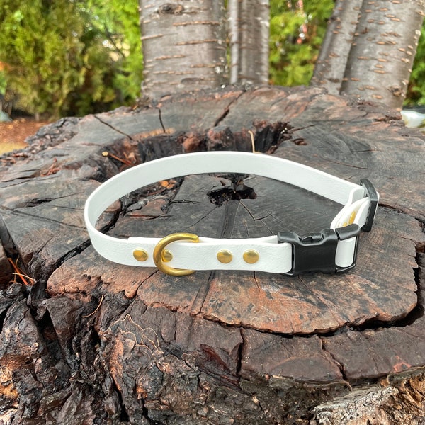 Adjustable Dog Collar, 3/4" Wide Biothane Waterproof Dog Collar, Custom Colors, Sizes and Metals!