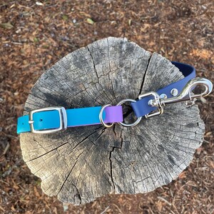 May include: A teal blue, purple, and navy blue dog leash with a silver clip. The leash is lying on a wooden stump.