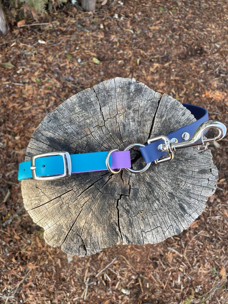 May include: A teal blue, purple, and navy blue dog leash with a silver clip. The leash is lying on a wooden stump.