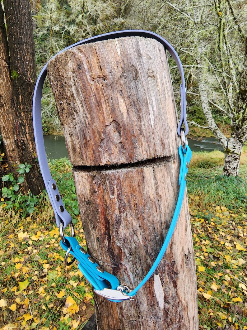 May include: A light purple and turquoise dog collar with silver hardware. The collar is wrapped around a tree trunk.