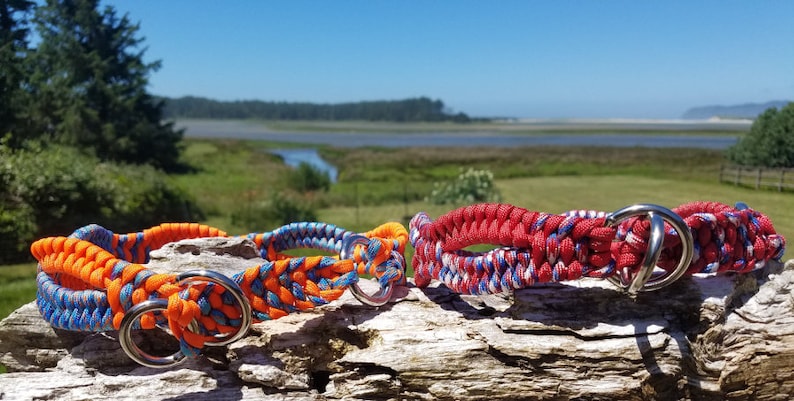 Pu&ograve; includere: Due collari per cani colorati realizzati in paracord intrecciato con anelli a D in metallo argentato. I collari sono arancioni e blu, e rosso e bianco.