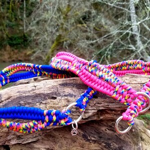 Pu&ograve; includere: Due collari per cani colorati, uno blu e uno rosa, con accenti arcobaleno, sono esposti su un tronco d'albero. Entrambi i collari hanno anelli di metallo argentato.