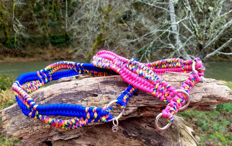 Pu&ograve; includere: Due collari per cani colorati, uno blu e uno rosa, con accenti arcobaleno, sono esposti su un tronco d'albero. Entrambi i collari hanno anelli di metallo argentato.