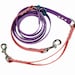 see more listings in the Leashes section