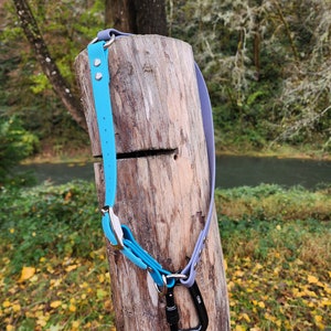 May include: A blue and purple dog collar with a silver buckle and a black carabiner clip. The collar is hanging on a wooden post.