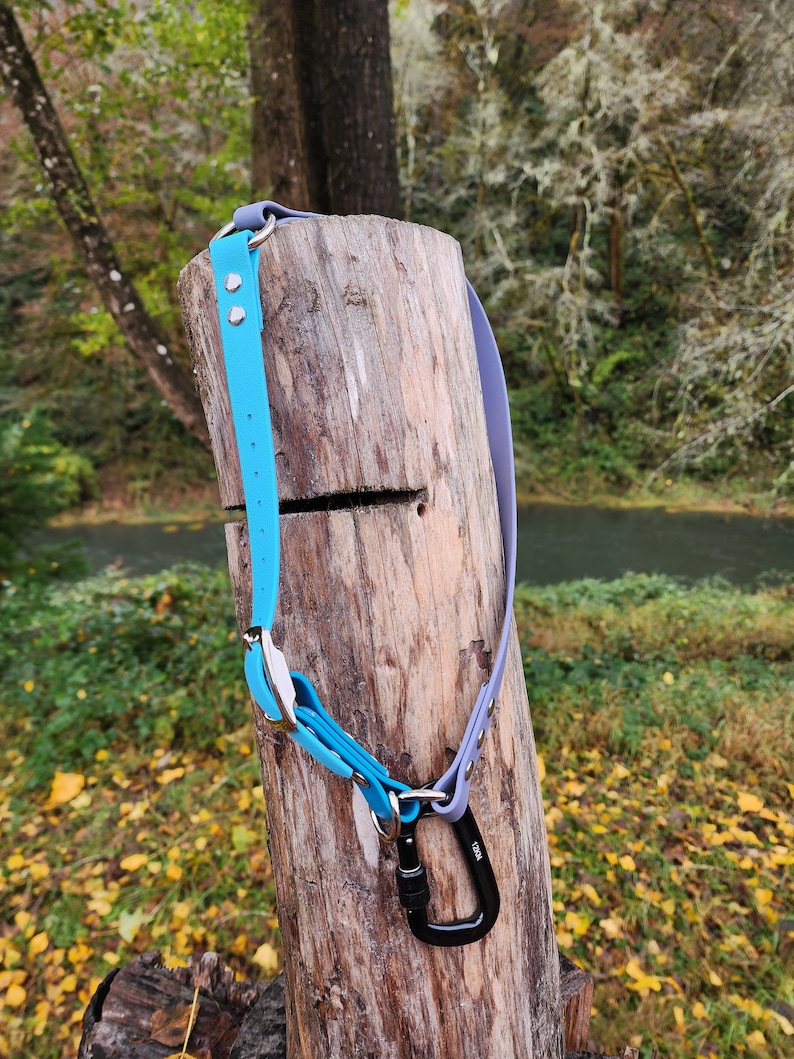 May include: A blue and purple dog collar with a silver buckle and a black carabiner clip. The collar is hanging on a wooden post.