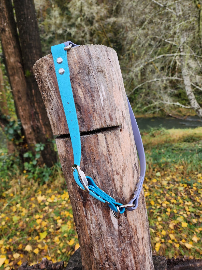 May include: A blue and purple dog collar with silver hardware. The collar is made of a soft, durable material and is designed to be comfortable for dogs of all sizes.