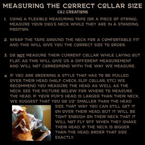 May include: A brown and white dog wearing a collar has its neck measured with a tape measure. The image includes text with instructions on how to measure a dog's neck for a collar.