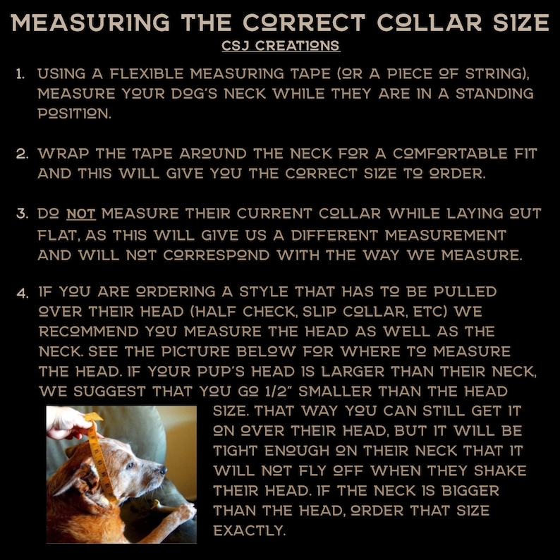 May include: A brown and white dog wearing a collar has its neck measured with a tape measure. The image includes text with instructions on how to measure a dog's neck for a collar.