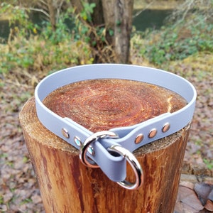 biothane slip collar