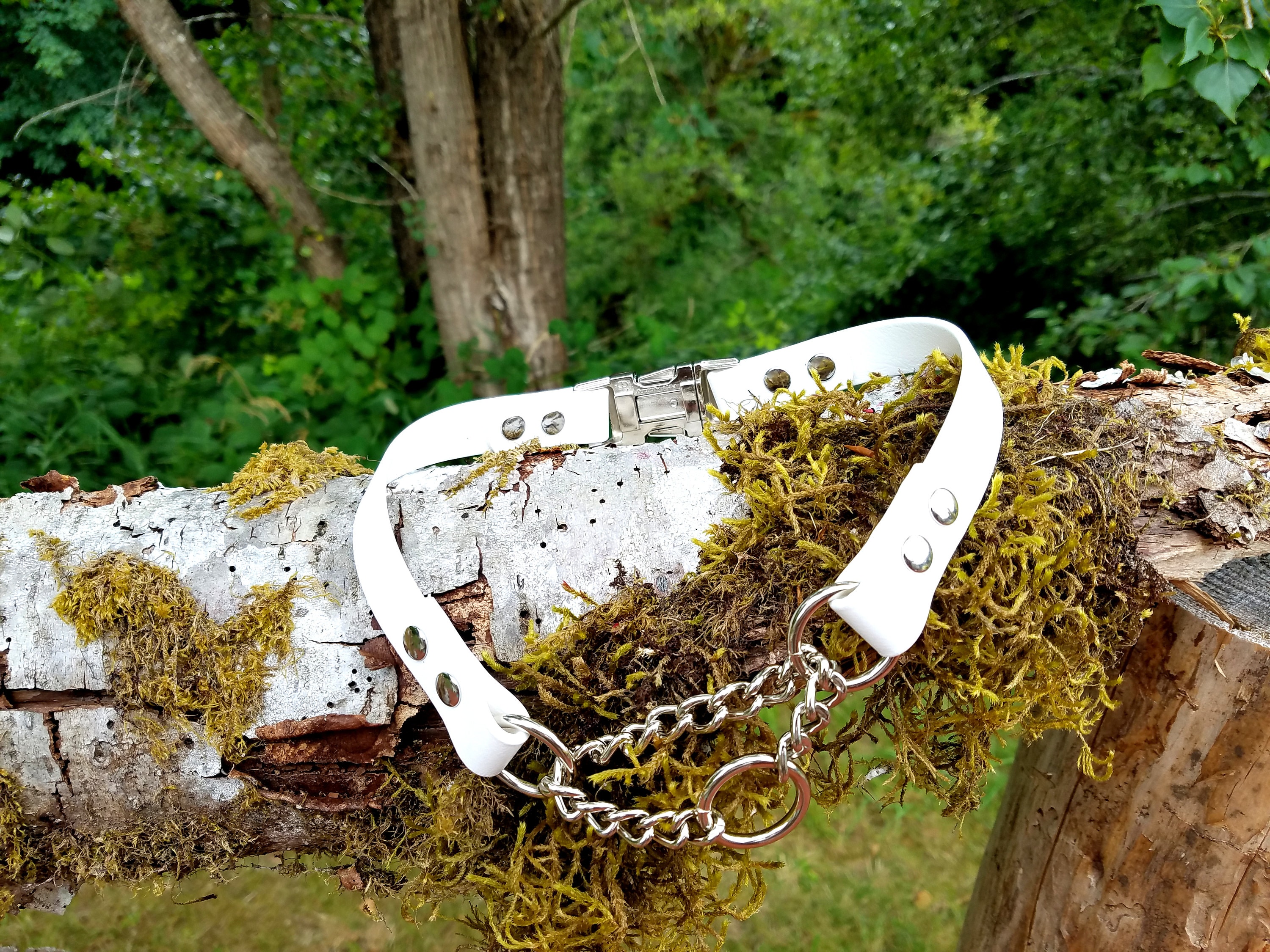 Quick Side Release Half Check Dog Collar 3/4 Wide Etsy