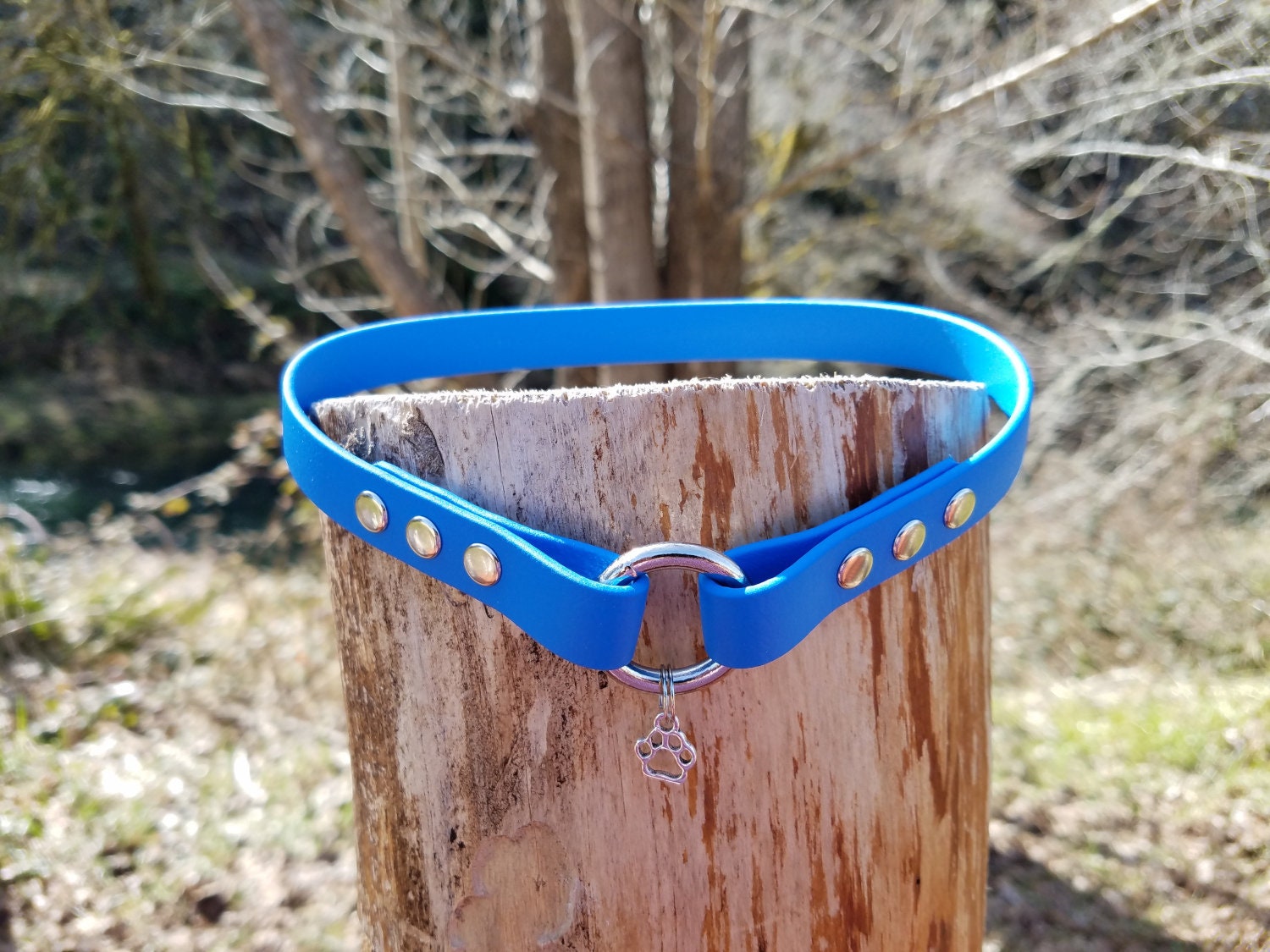 Tag Dog Collar, 5/8" Wide Biothane Waterproof House Collar, Cust…