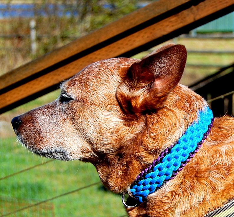 Custom Double Chainmail Paracord Dog Collar Choose Your Etsy