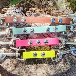 May include: Four dog leashes with silver clasps. The leashes are brown, light green, pink, and yellow.