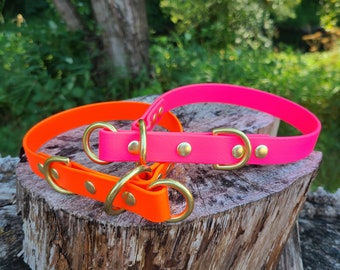 1" Wide Limited Slip Biothane Waterproof Dog Collar, Add Your Dog's Name, Custom Colors, Metals & Sizes