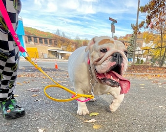 5/8" Deluxe Adjustable Traffic Handle Dog Leash, Biothane Outdoor Waterproof Hands Free Leash, Custom Colors, Clips and Sizes