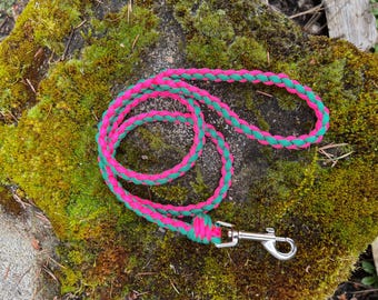 Lightweight Braided Paracord Dog Leash: You choose colors, length and hardware