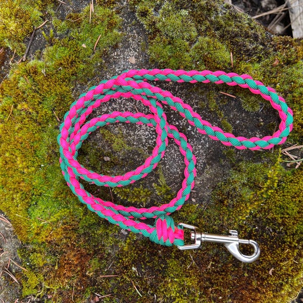 Lightweight Braided Paracord Dog Leash: You choose colors, length and hardware
