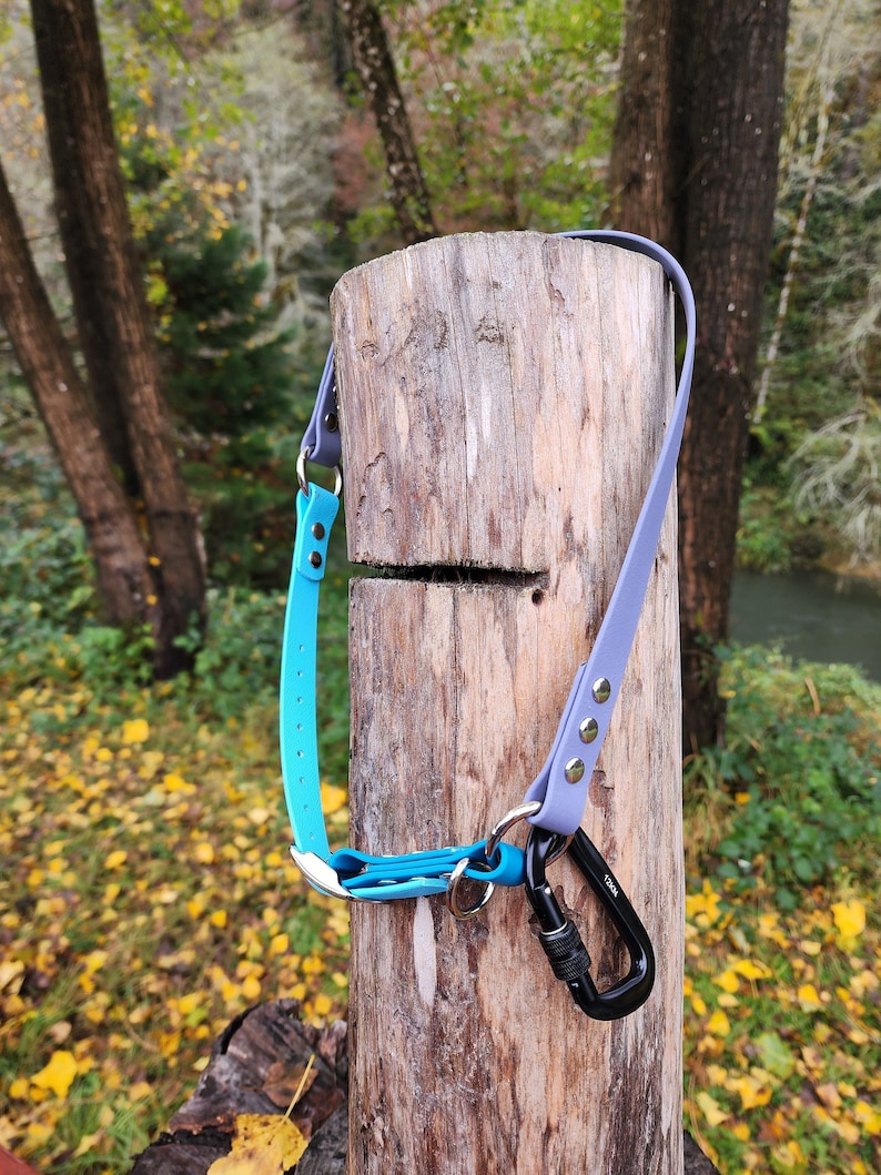 May include: A blue and purple dog collar with a black carabiner clip attached to a wooden post.