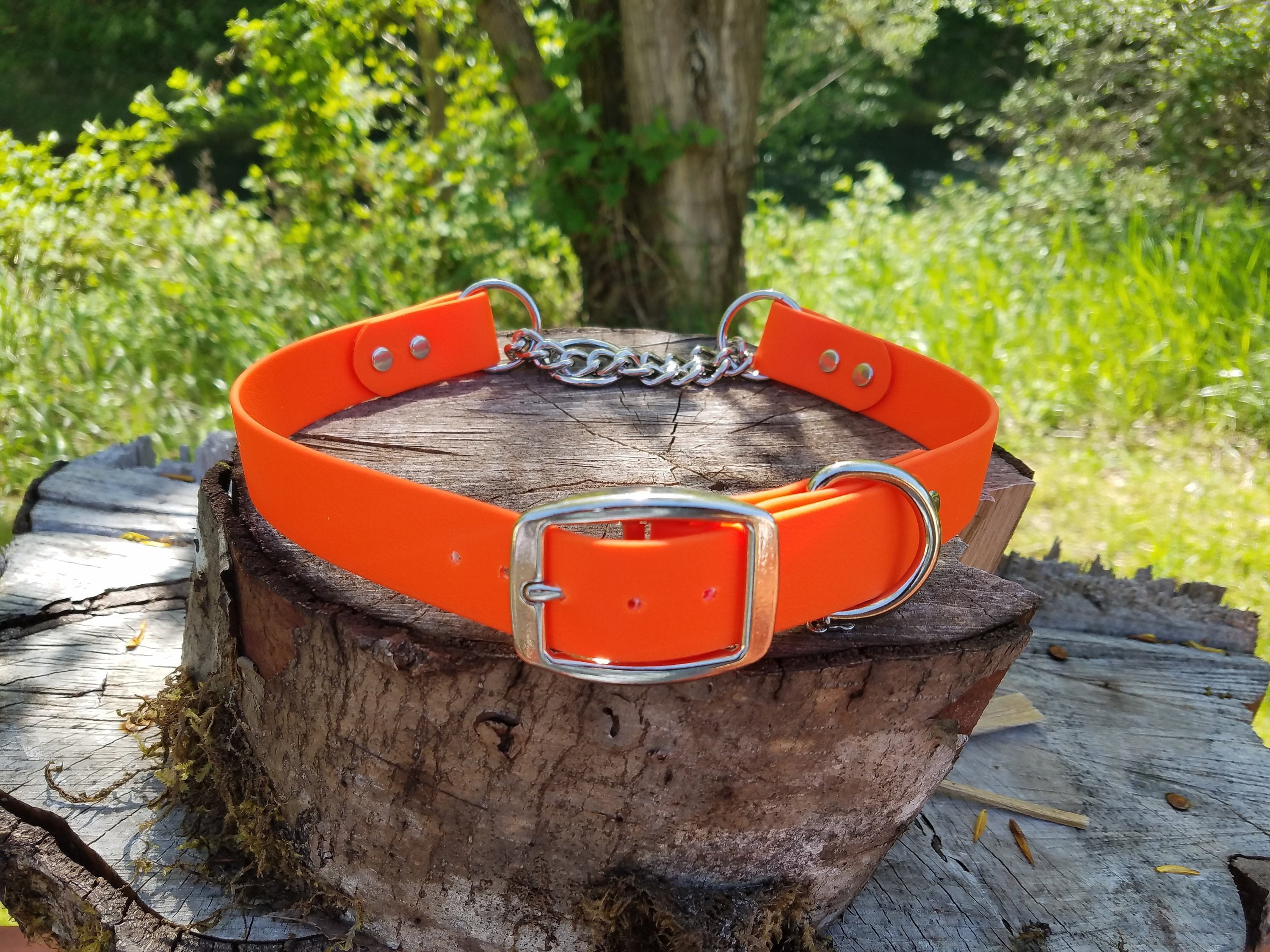 1 Adjustable Half Check Dog Collar 1 Wide Etsy