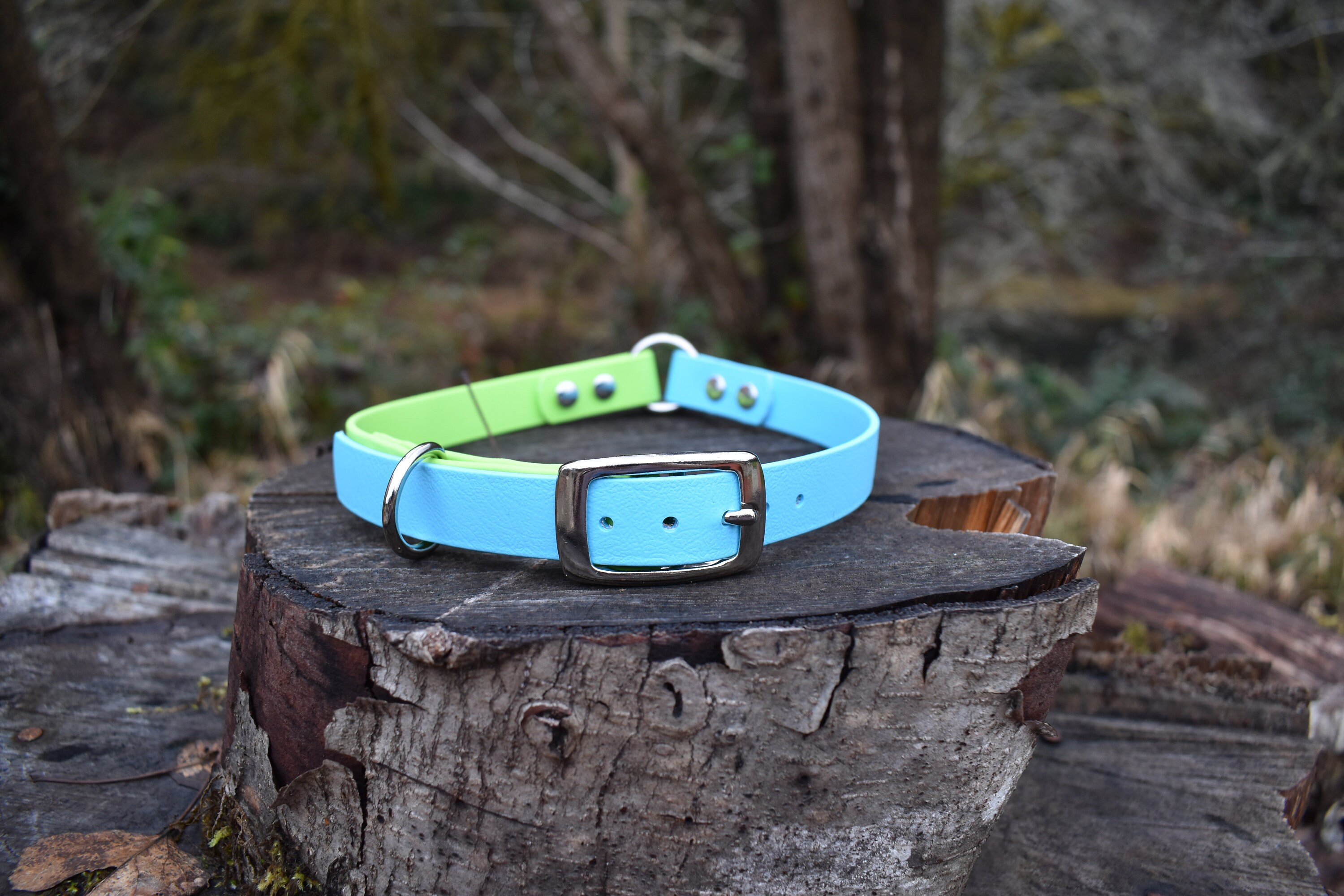 Deluxe Adjustable Dog Collar, 3/4" Wide Biothane Waterproof Buck…