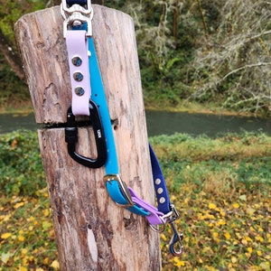May include: A blue and purple dog leash with a silver clip and a black carabiner. The leash is hanging on a wooden post.
