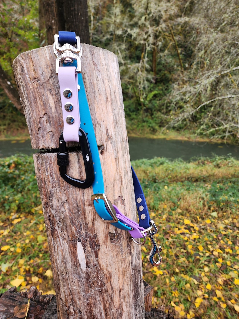 May include: A blue and purple dog leash with a silver clip and a black carabiner. The leash is hanging on a wooden post.